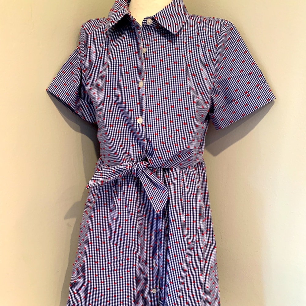 BROOKS BROTHERS Fleece Girls Short Sleeve Shirt Dress (Sz 12)